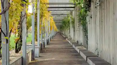 Learn how sustainable path design expands accessible outdoor movement. Discover the benefits of permeable paving, solar lighting, and inclusive trails. Learn how sustainable path design expands accessible outdoor movement. Discover the benefits of permeable paving, solar lighting, and inclusive trails.